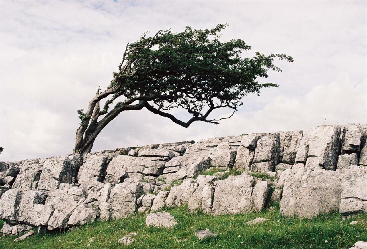 Dugdales Cottage سيتّل المظهر الخارجي الصورة